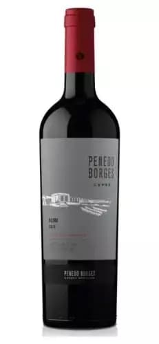 PENEDO BORGES CEPAS MALBEC