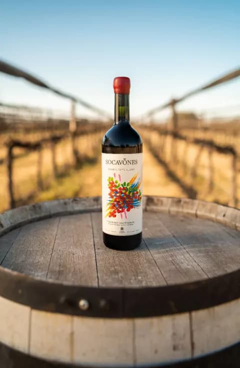 Socavones Cabernet Edición Especial 2020 Reserva