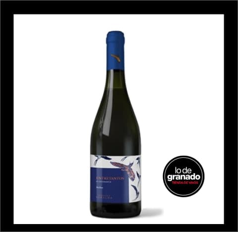 Entretantos Malbec By Bodega Veralma Catamarca