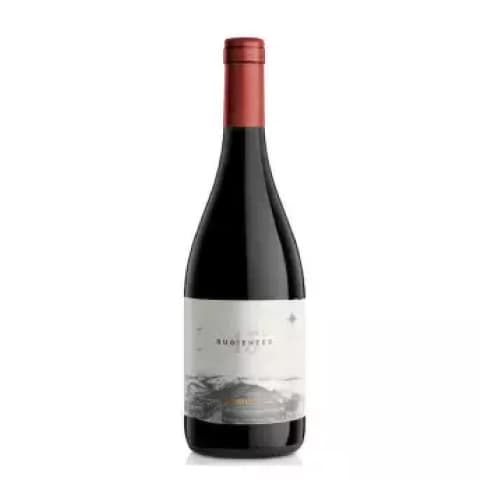 45 Rugientes Pinot Noir