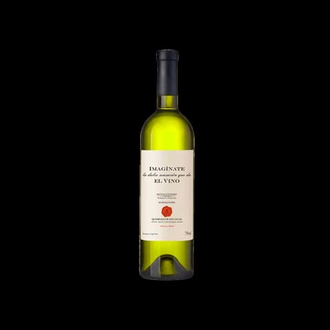 Imaginate Torrontes