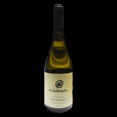 Michelini Wine Arduino