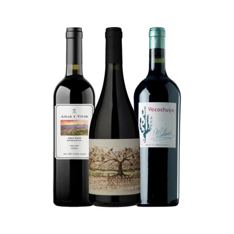 Pack Malbec del NOA