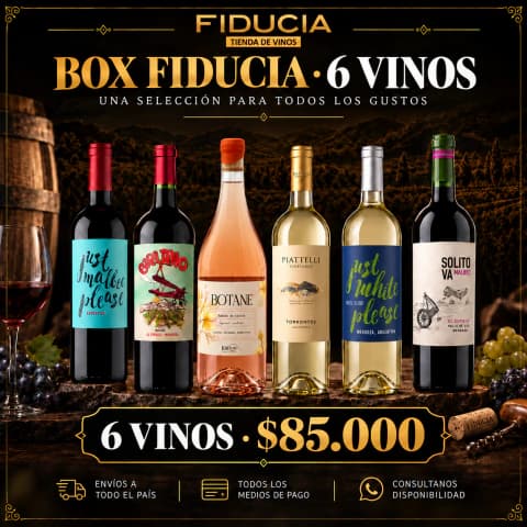 BOX por 6 vinos - Selección Fiducia Tienda de Vinos