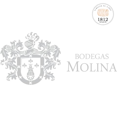 Tierra Austral Torrontes Dulce - Bodega Molina