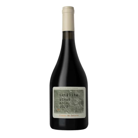 SATELITE FLORES DE SATURNO