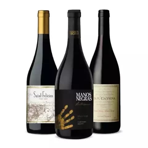 Fresh Pinot 2