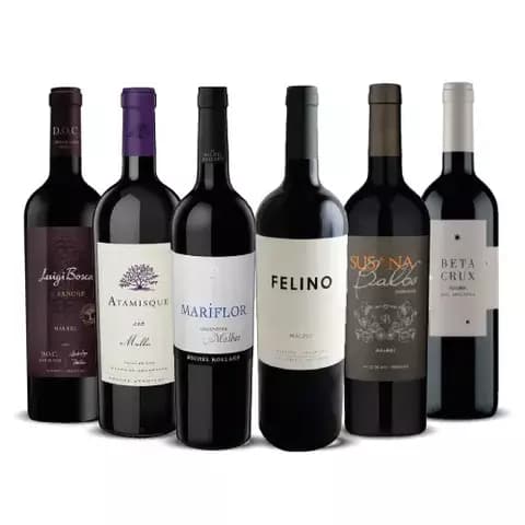 Seleccion Malbec 3