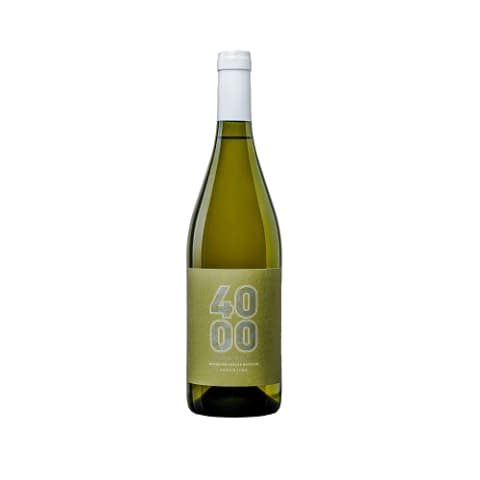 Budeguer 4000 Reserva White Blend