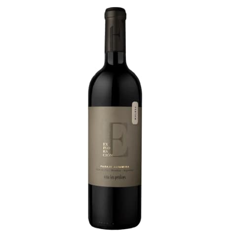 EXPLORACION MALBEC PARAJE ALTAMIRA