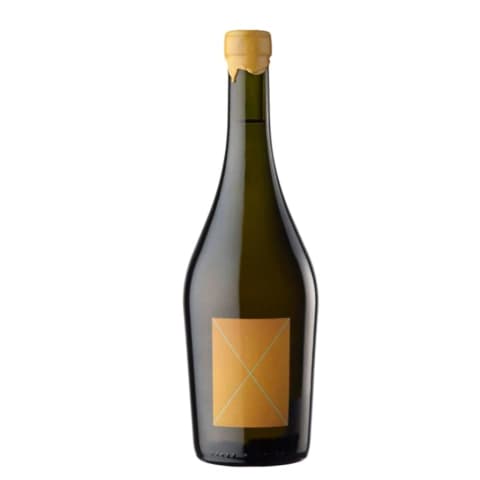 Stella Crinita Barbera