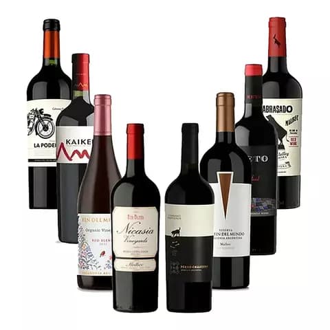 Oferta De Vino Luigi - Catena En Combo LLeva 8 Botellas Pagas 6