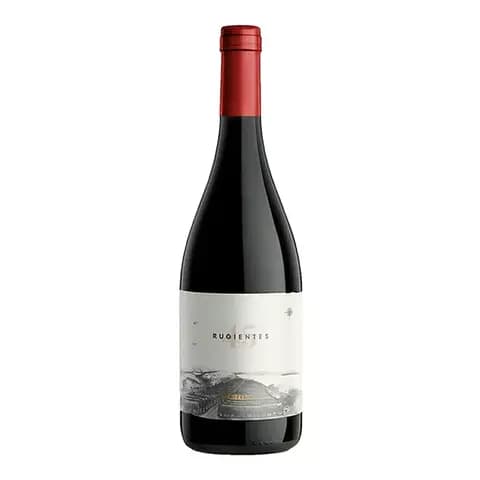Vino 45° Rugientes Pinot Noir Otronia Orgánico 750ml Local