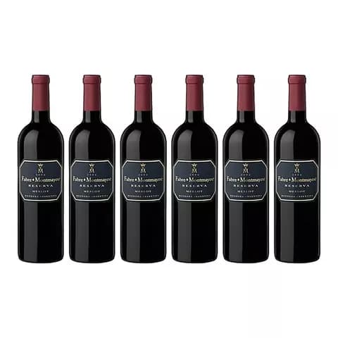 Vino Fabre Montmayou Reserva Merlot X750cc Caja X6