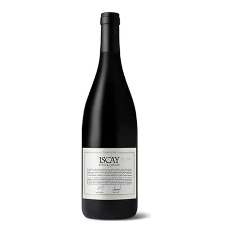 Vino Iscay Syrah - Viognier X750cc