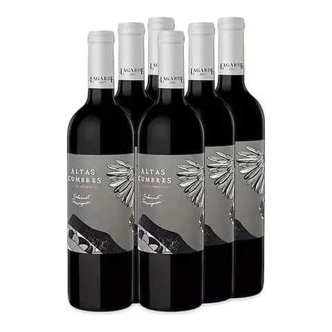 Vino Lagarde Altas Cumbres Cabernet Sauvignon X750cc Caja X6
