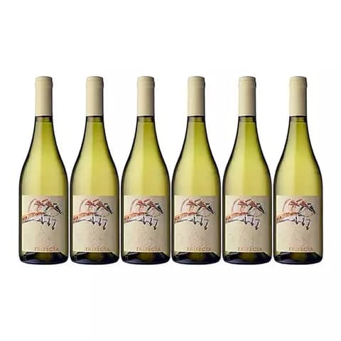 Vino Padrillo Trifecta X750 Caja X6 Ernesto Catena Vineyards