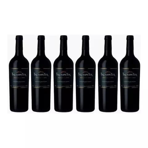 Vino Trumpeter Cabernet Sauvignon X750cc Caja X6 Envios Sc