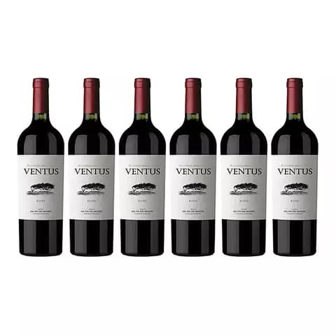 Vino Ventus Red Blend Fin Del Mundo X750cc