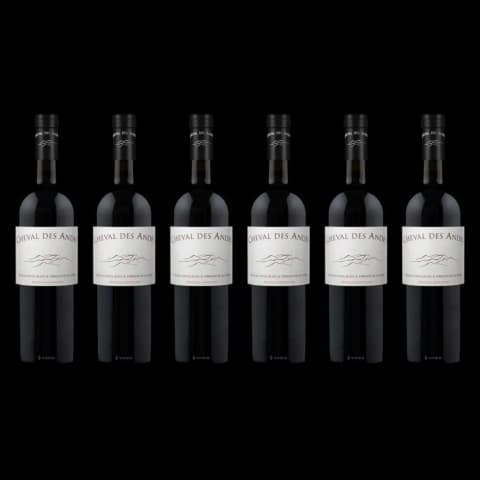 Caja x6 - Cheval des Andes 2021 + Bolso Luckywine 100% Cuero de regalo