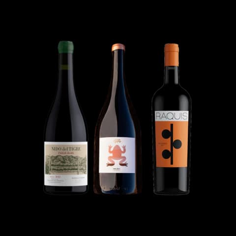 LuckyBox Regiones | Un recorrido por San Juan, Patagonia y Mendoza