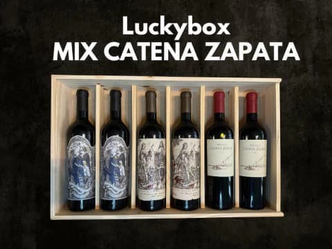 LuckyBox Colección Catena Zapata + Neceser 100% Cuero