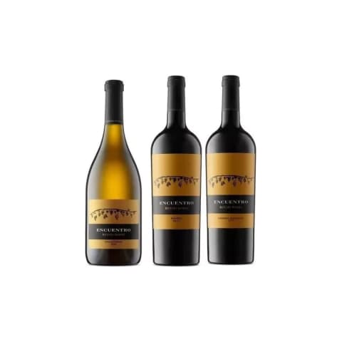 Vino Rutini Estuche X3 Encuentro: Malbec Chardonnay Cabernet