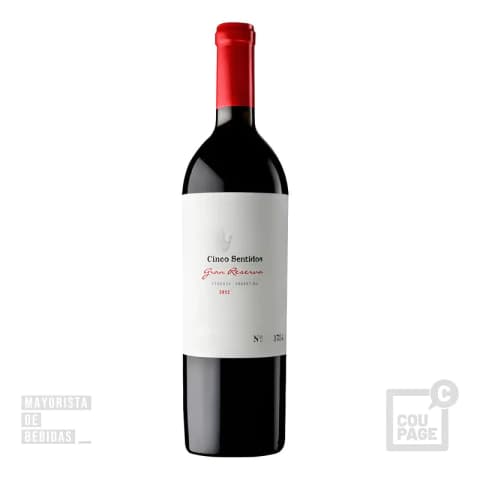 Vino Cinco Sentidos Gran Reserva 750ml