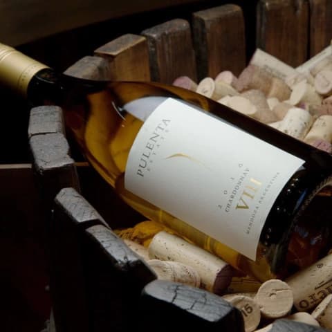 Chardonnay