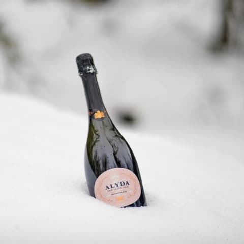 Alyda Van Salentein Brut Nature