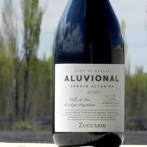 Aluvional Paraje Altamira Malbec