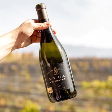 G-Lot Chardonnay