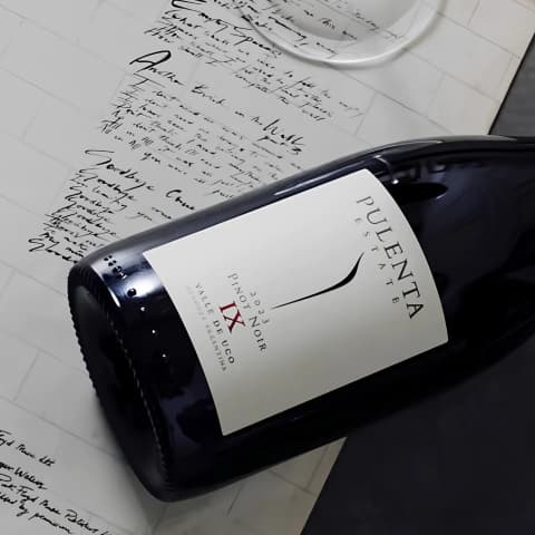 Gran Pinot Noir