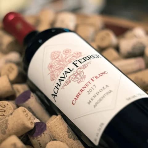 Mendoza Cabernet franc