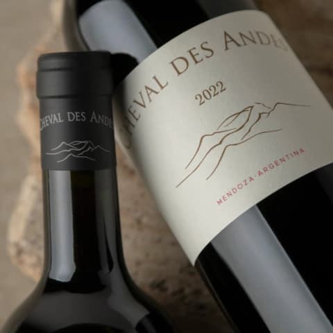 Cheval Des Andes