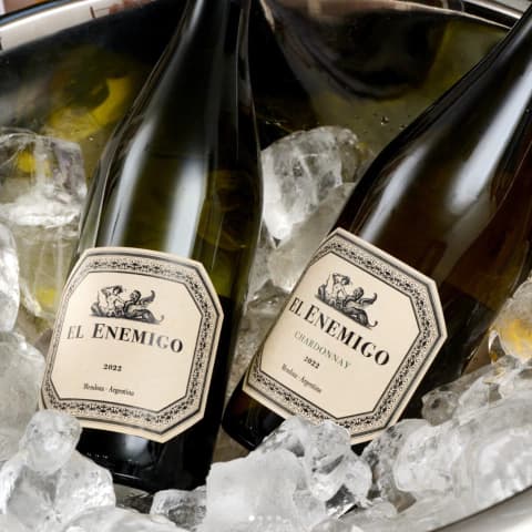 Chardonnay