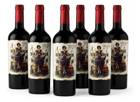 Pack 6 Vino Tinto Viablanca Terroir Selection Cab Sauv 750ml
