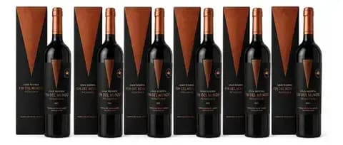 Pack 6 Estuche Vino Gran Reserva Fin Del Mundo x750cc