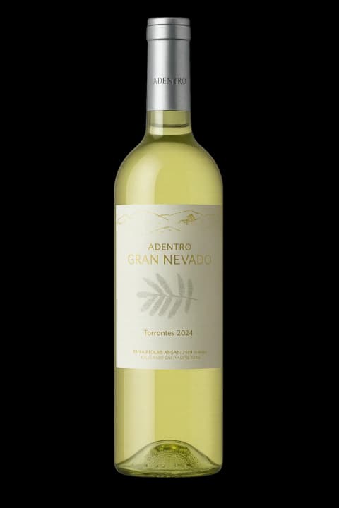 Gran Nevado Torrontes