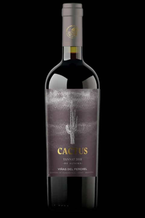 Cactus Tannat de Altura