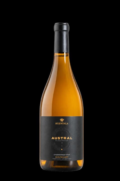 Huentala Austral Block 22 Chardonnay
