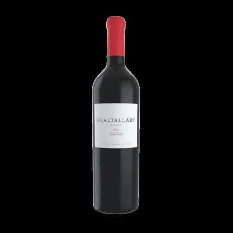 Altus Gualtallary Malbec