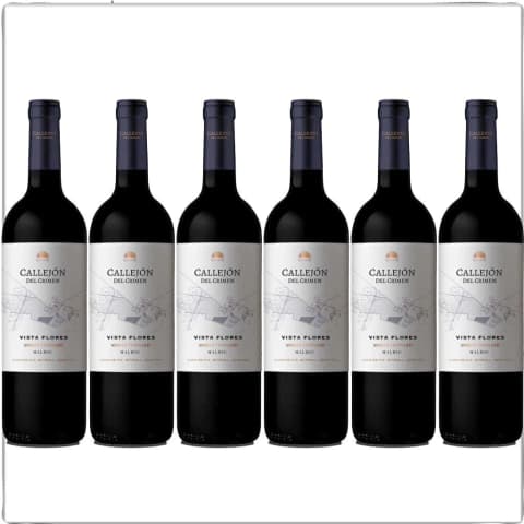 Callejón Single Vineyard Vista Flores Malbec