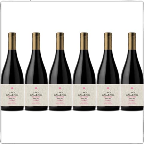 GRAN CALLEJON DEL CRIMEN ANFORA MALBEC X6