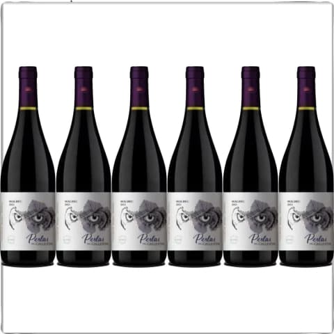 PERLAS DEL CALLEJON MALBEC CARBÓNICO