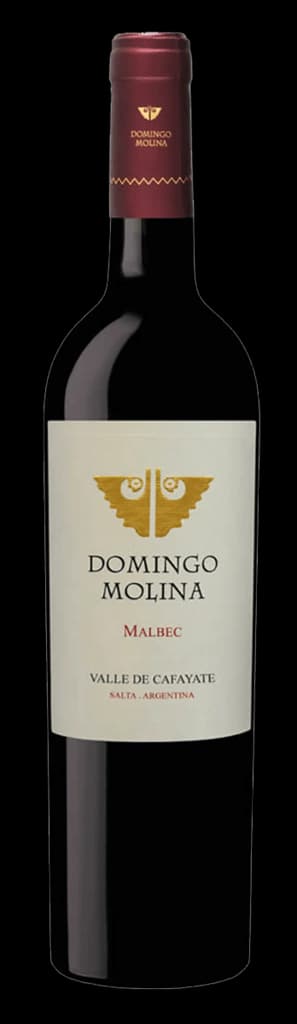 Domingo Molina Malbec