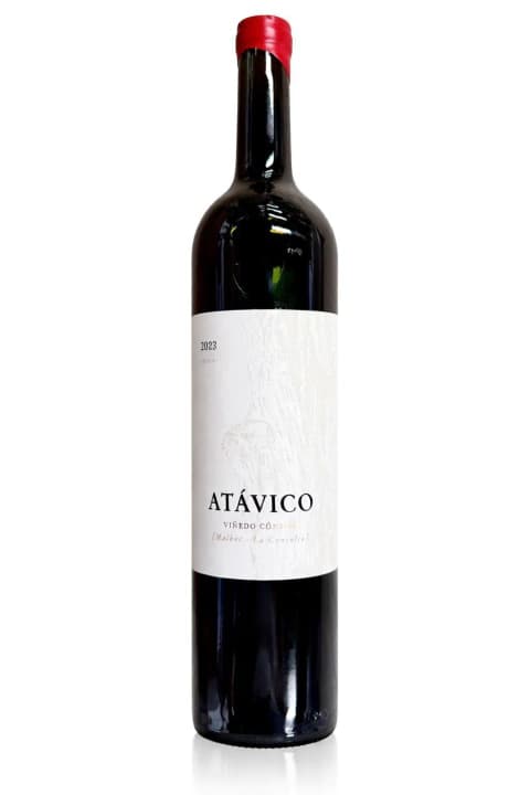 MALBEC ATAVICO 2022