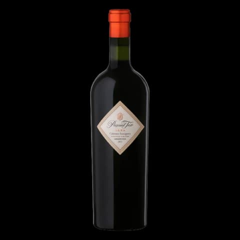 Pascual Toso - Alta Cabernet Franc
