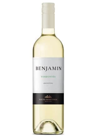 Benjamín Nieto Torrontes