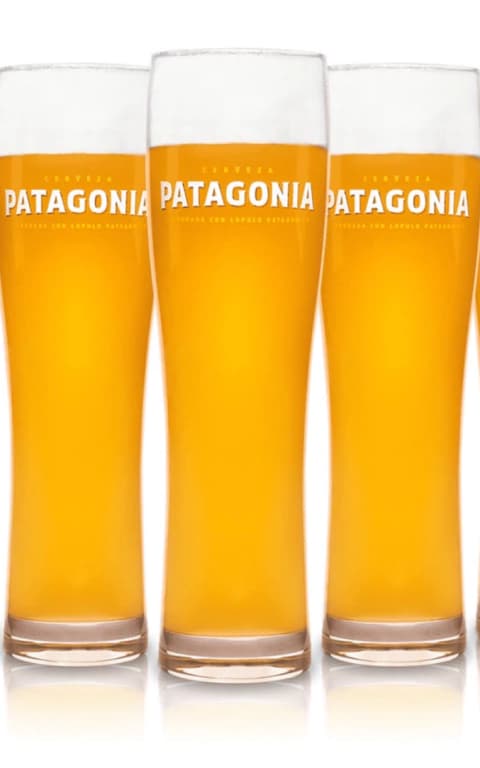 Vaso Patagonia Wheat 500ml